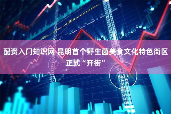 配资入门知识网 昆明首个野生菌美食文化特色街区正式“开街”